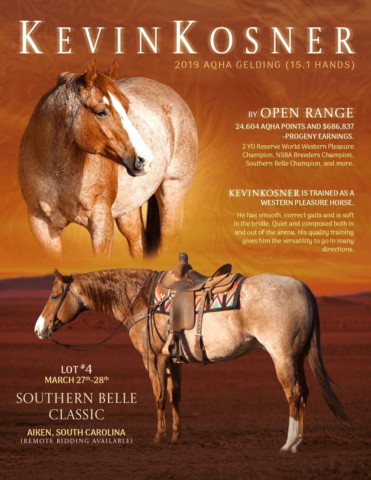 Custom horse sale flyer design featuring a Western Pleasure Quarter Horse with premium typography, warm western-inspired colors, and professional equestrian marketing layout.