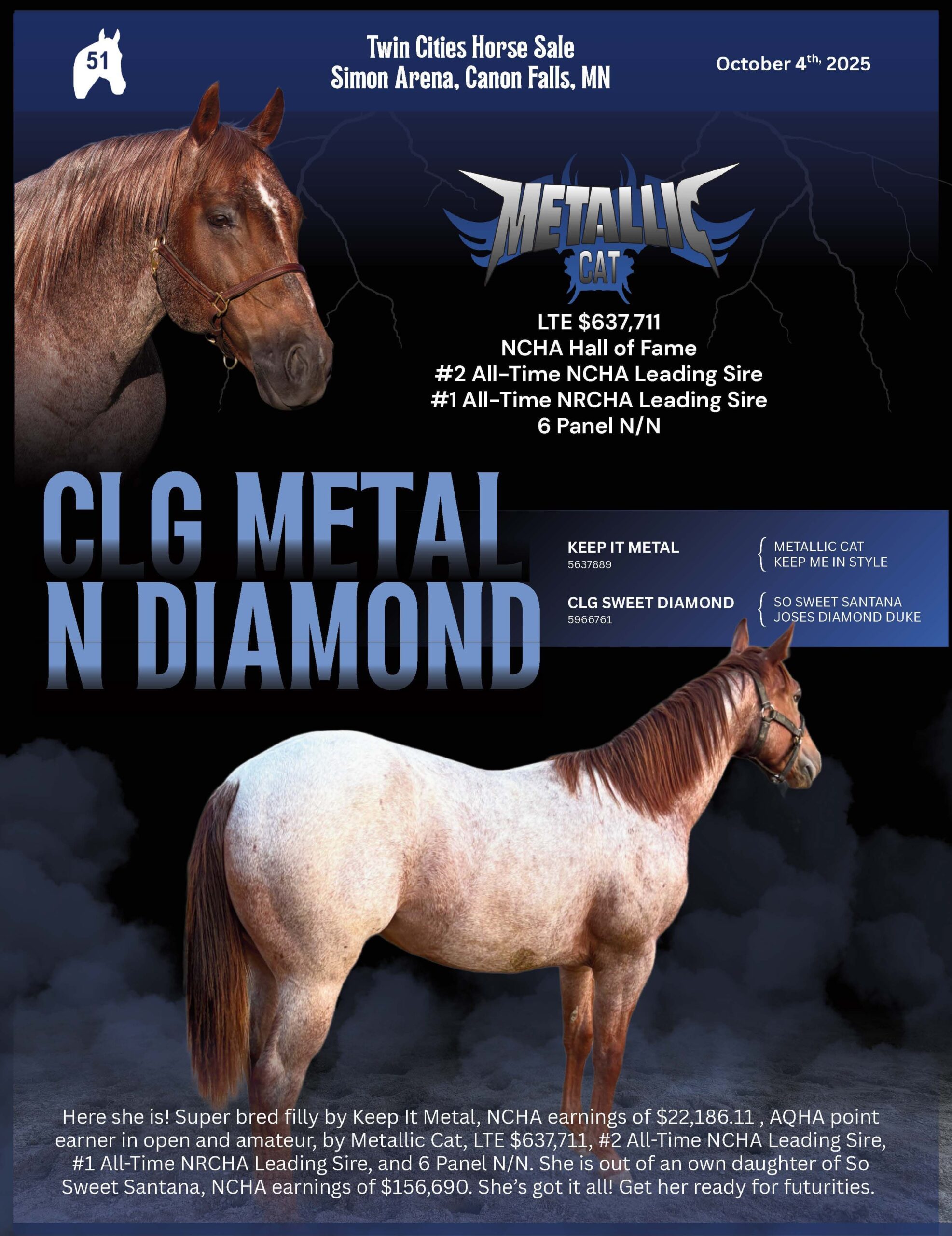 Custom horse sale advertisement design featuring CLG Metal N Diamond with bold western branding, premium equestrian graphics, pedigree information, and professional sale advertisement layout