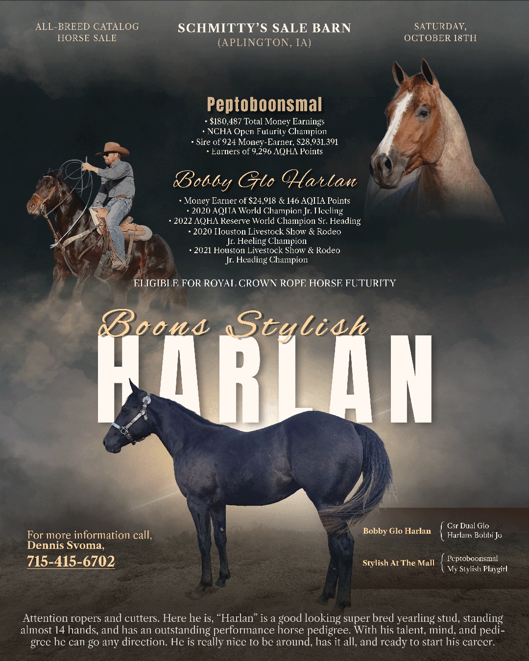 Horse flyer design showcasing a Quarter Horse sale advertisement with custom typography, layered imagery, western-inspired branding, and a professional promotional layout.