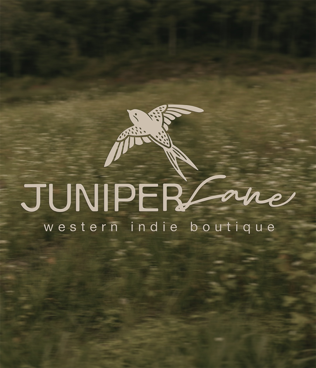 Nature-inspired illustrated bird logo and organic typography for Juniper Lane, a western indie boutique, displayed against a blurred green meadow.
