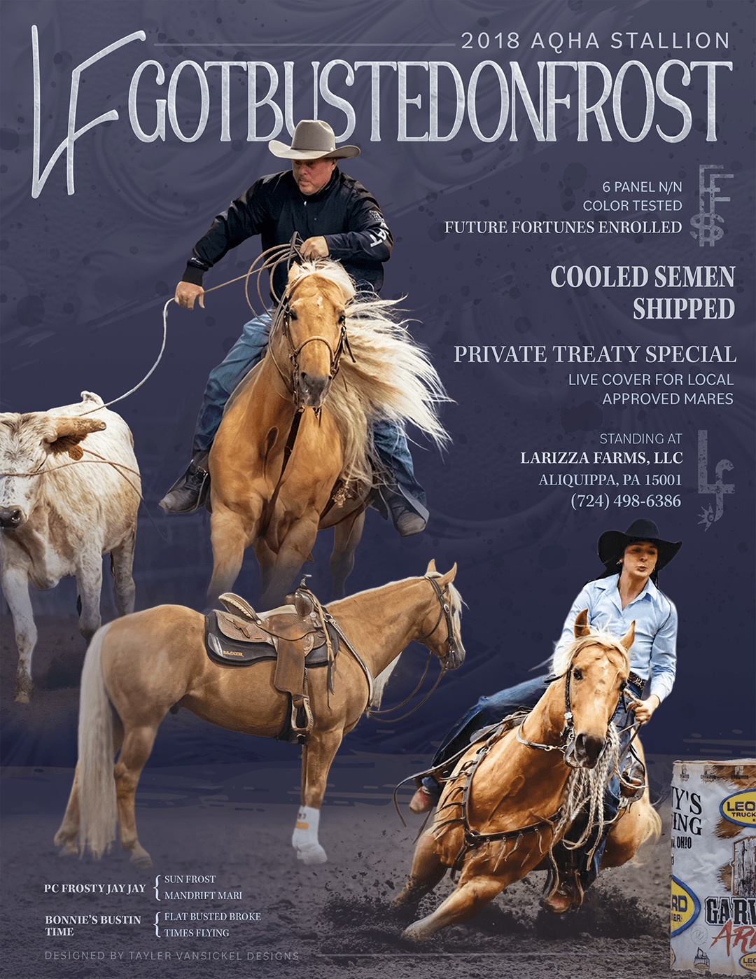 Stud fee flyer design for AQHA stallion with layered images, and cool toned western elements.